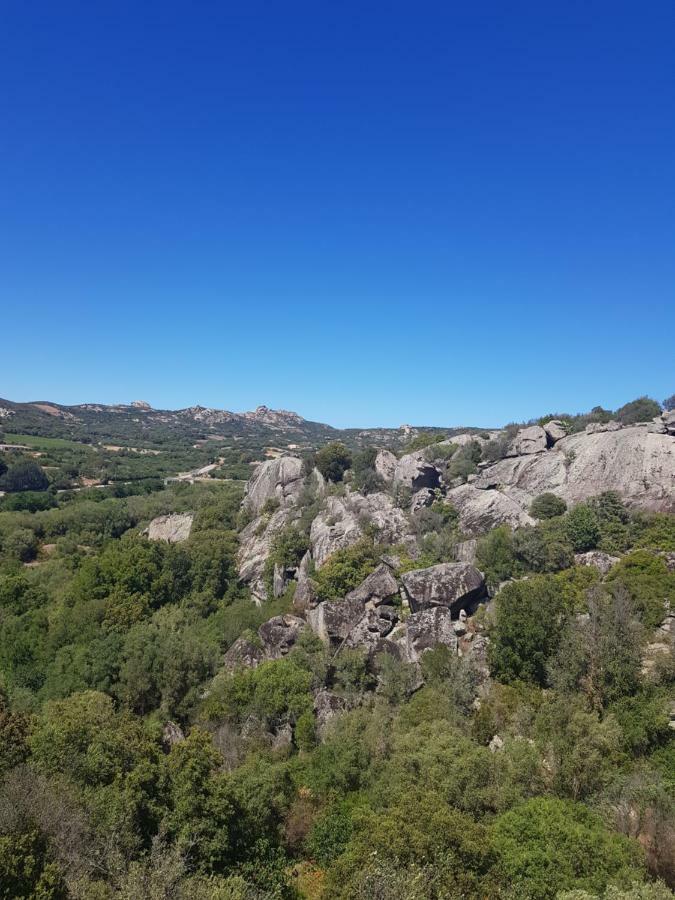 Appartamento Monte Mare 아르자케나 외부 사진